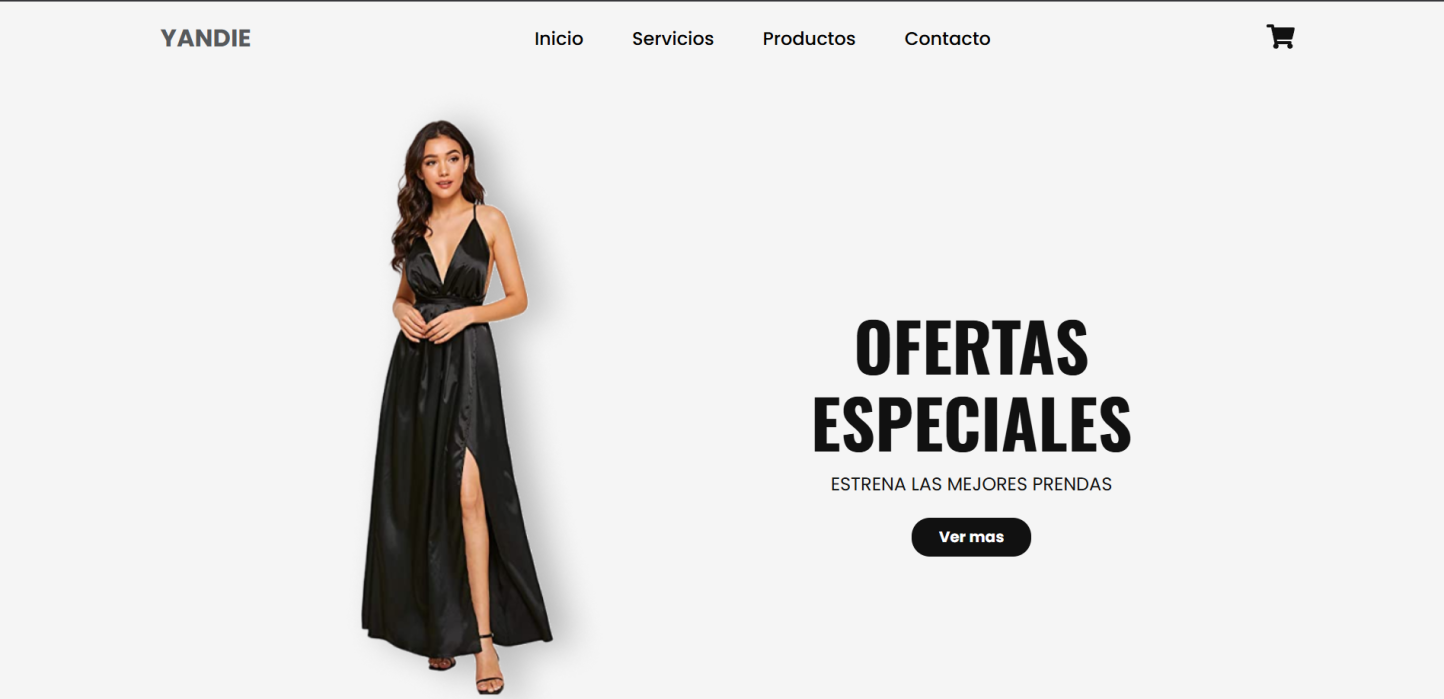 Vista previa del desarrollo de una plataforma de E-commerce por Vizcatch Analytics